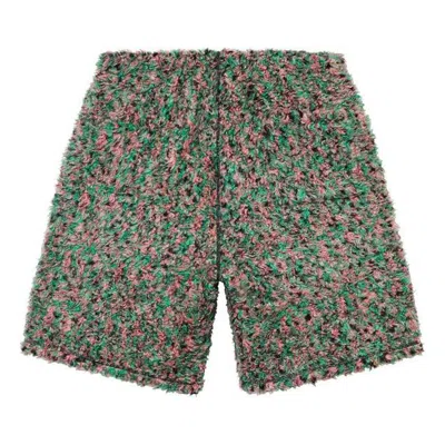 Supreme X The North Face High Pile Fleece Short 'multi-color' In Green