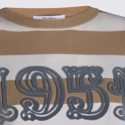 Max Mara Sleeveless Crew Neck Top With Embroidered Detail In Multi