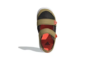 Adidas Originals (ps) Adidas Comfort Sandal Army Green Sandals
