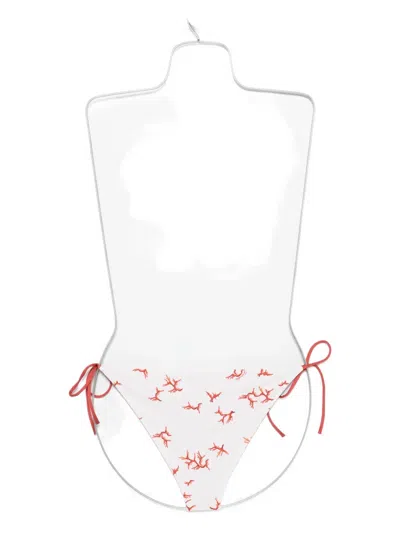 珊瑚印花比基尼三角裤