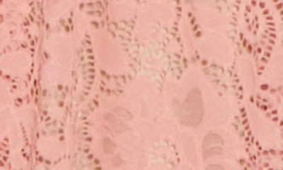 Nsr Crochet Stretch Lace Midi Dress