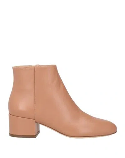 Sergio Rossi Woman Ankle Boots Blush Size 7 Leather In Brown