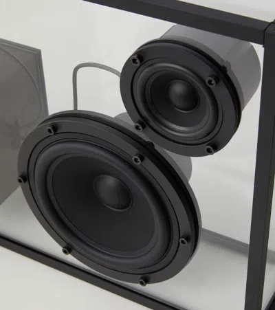 Transparent Speaker