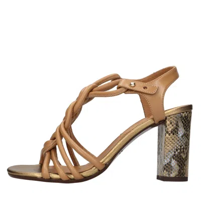 Chie Mihara Sandals Brown In Multi