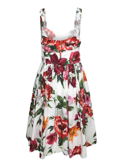 Dolce & Gabbana White Anemoni Print Cotton Midi Dress In Multi