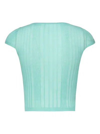 Pinko Ribbed Crew-neck Knit Top In Blue