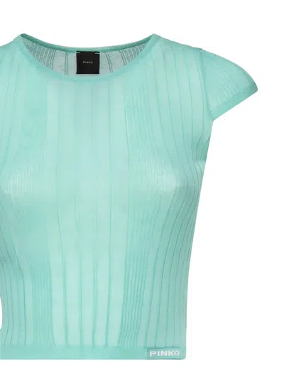 Pinko Ribbed Crew-neck Knit Top In Blue