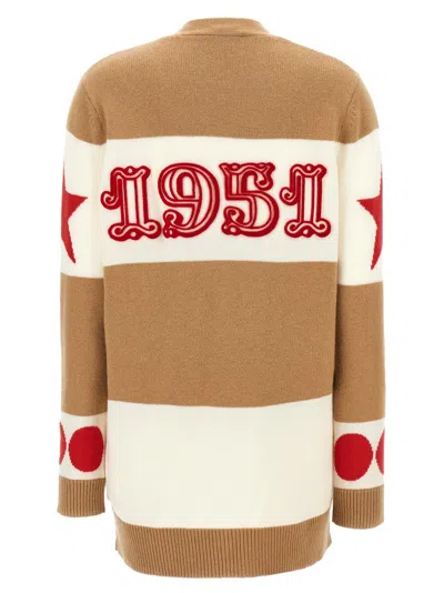 Max Mara Valido Sweaters And Cardigans Multicolor In Brown