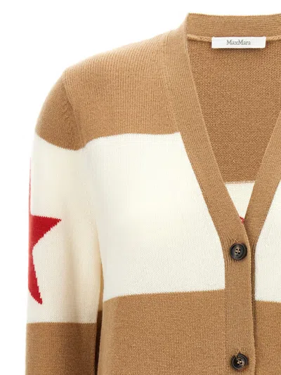 Max Mara Valido Sweaters And Cardigans Multicolor In Brown