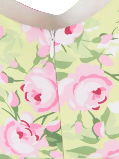 Mama Luma Rose-print Pleated Dress In Multi
