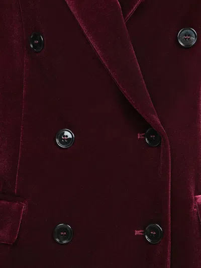 C.p. Company Burgundy Velvet Jacket