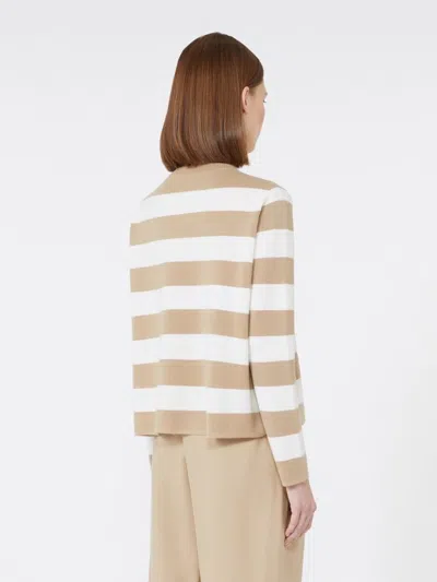 Max Mara Sleeveless Crew Neck Top With Embroidered Detail