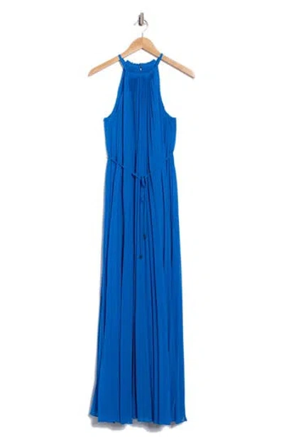 Ted Baker London Helyos Pleated Maxi Halter Dress