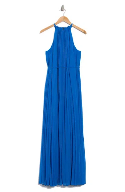 Ted Baker London Helyos Pleated Maxi Halter Dress