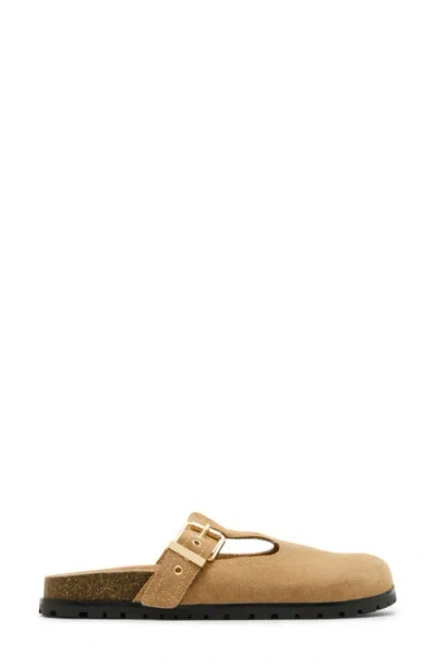 Steve Madden Atticus Clog