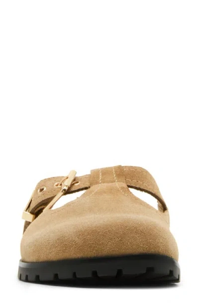 Steve Madden Atticus Clog
