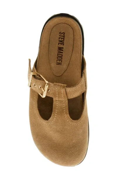 Steve Madden Atticus Clog
