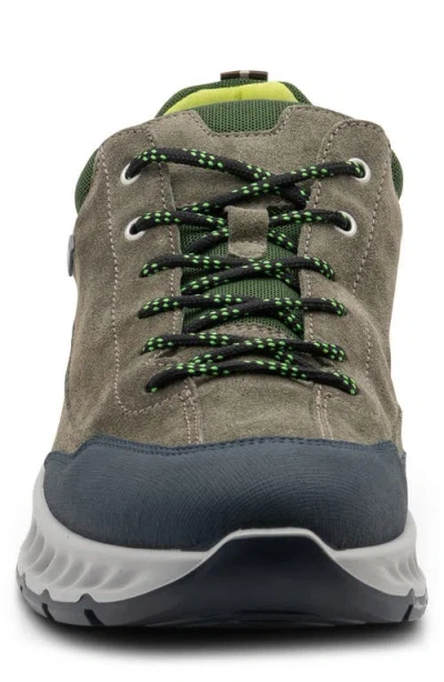 Ara Petro Waterproof Sneaker
