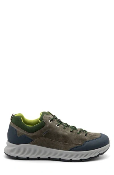Ara Petro Waterproof Sneaker