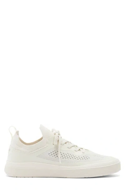 Steve Madden Oslo Sneaker