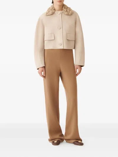Fabiana Filippi Knitted-collar Wool Jacket In Neutral