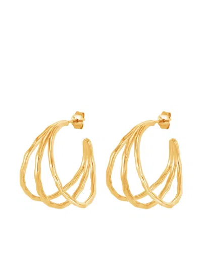 Dower & Hall Waterfall Hoops In Gold