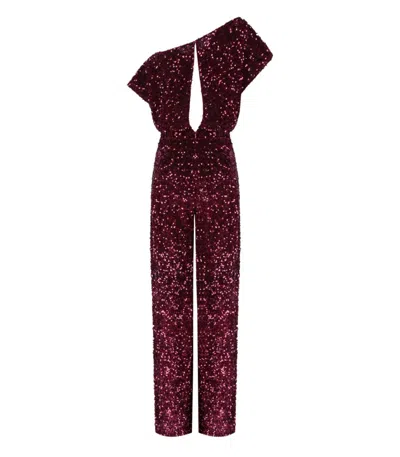 Elisabetta Franchi Rouge Noir Jumpsuit With Sequins In Burgundy