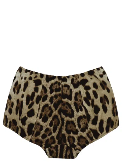 Dolce & Gabbana High-waisted Animal Print Briefs