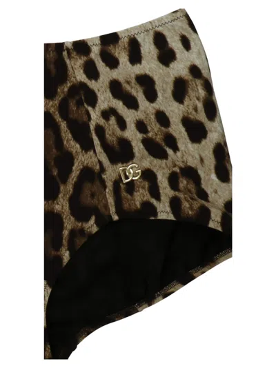 Dolce & Gabbana High-waisted Animal Print Briefs