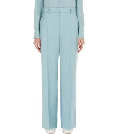 Max Mara Visivo Anice Wide Leg Pants