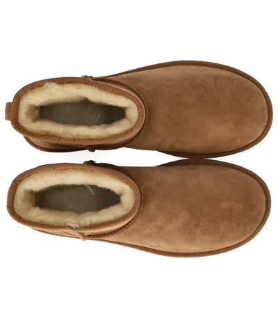 Ugg Classic Mini Chestnut Ankle Boot In Brown
