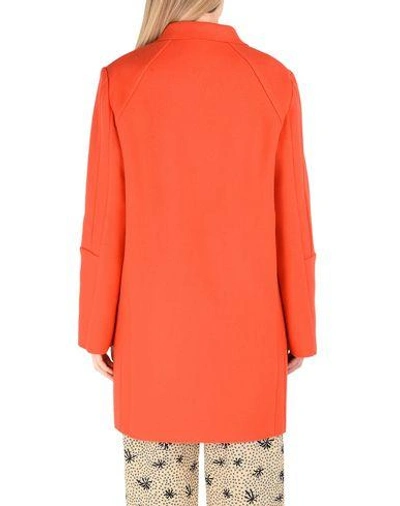 Shop Marni In Coral