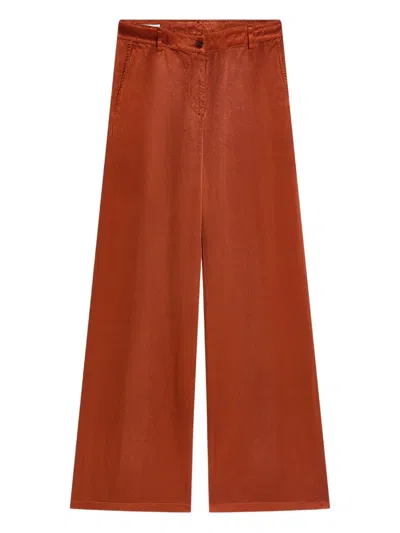 Dries Van Noten Straight-leg Casual Pants In Brown
