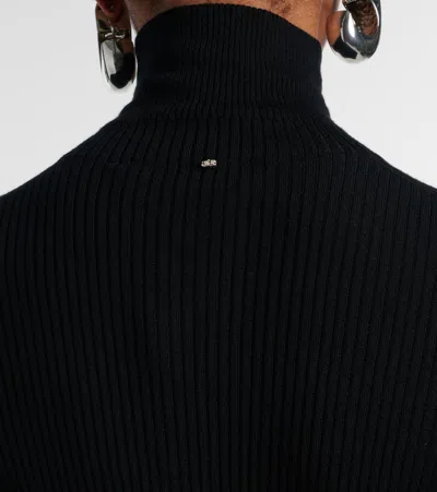 Sportmax Niagara Wool Turtleneck Sweater In Black