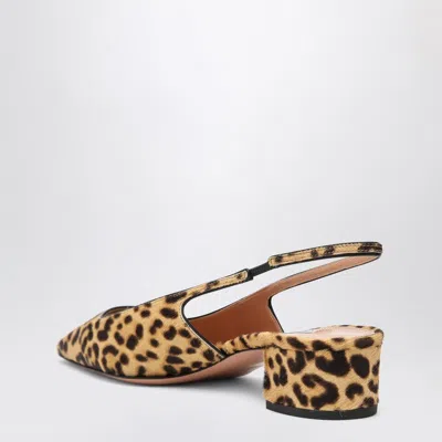 Aquazzura Ginza 35 Leopard-print Calf Hair Slingback Pumps In Animal Print