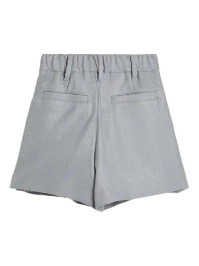Brunello Cucinelli Pleated Shorts In Gray