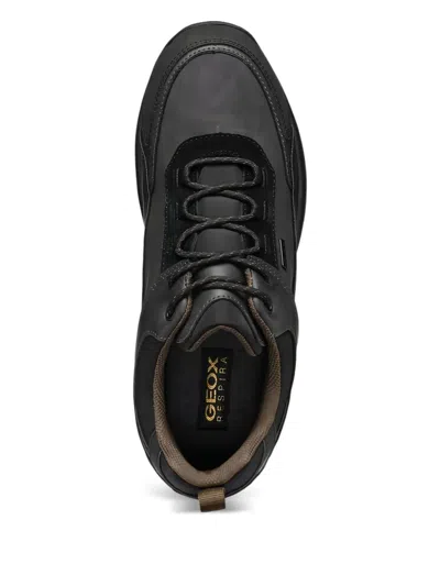Geox Terrestre Leisure Trainers In Black