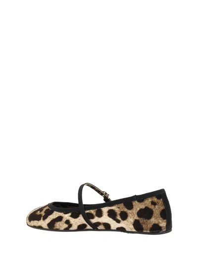 Dolce & Gabbana Women Leopard-print Ballerinas