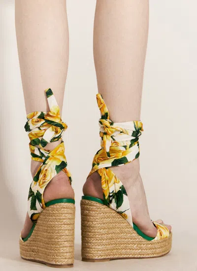 Dolce & Gabbana Women Printed Charmeuse Wedges In Yellow