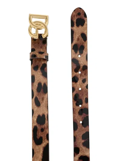Dolce & Gabbana Leopard-print Dg Logo-buckle Belt In Brown