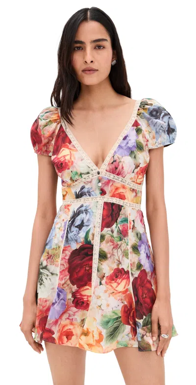 Alice And Olivia Rose Deep V Lace Detail Mini Dress Storm Floral Sm In Multi