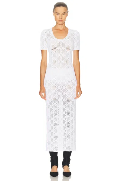 Alaïa Openwork Python Lace Dress In White