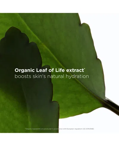 Clarins Fresh Scrub 50ml In Transparent