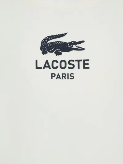 Lacoste Flour Logo-print Long-sleeve Cotton-jersey Sweatshirt 4-16 Y In White