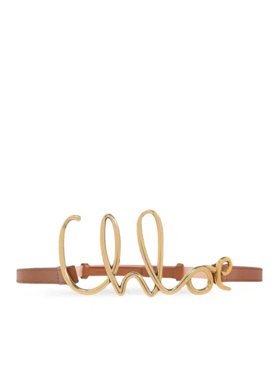 Chloé Logo Leather Belt In Burgundy