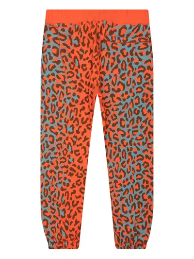 Awake Ny Leopard-print Drawstring Track Pants In Multi