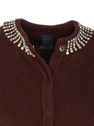 Pinko Spezzino Cardigan In Brown