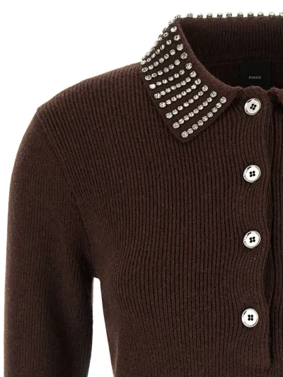 Pinko Pull Polo In Brown