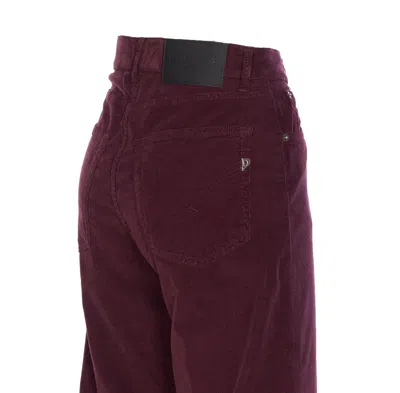 Dondup Pantsshorts In Brown