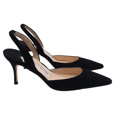 Manolo Blahnik Carolyne Slingback Pumps In Black Suede In Black